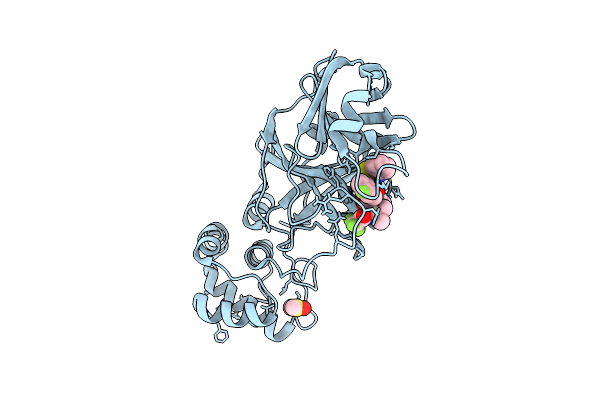 9MLJ image