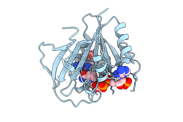 9MLT image