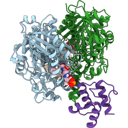 9MLX image