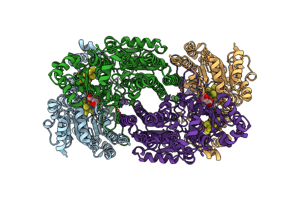 9MLZ image
