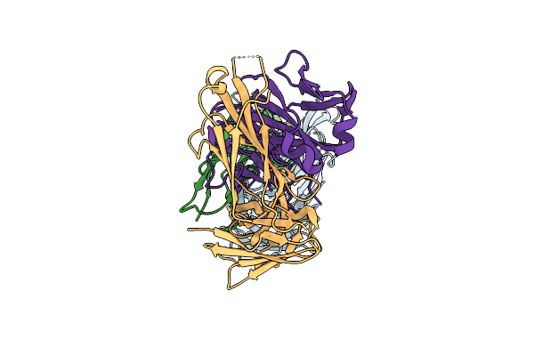 9MML image