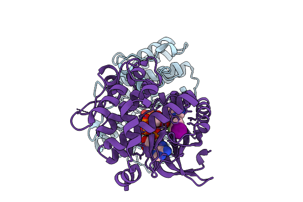 9MMS image