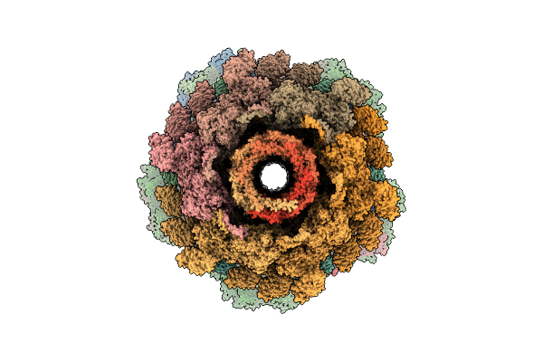 9MOF image