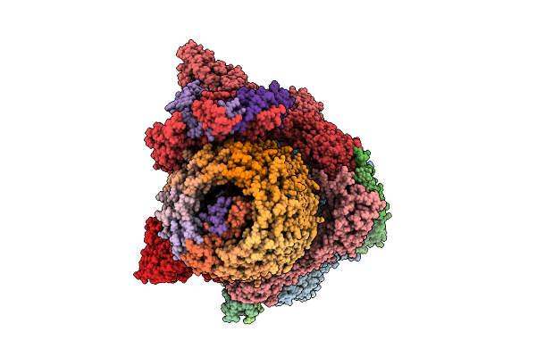 9MOY image
