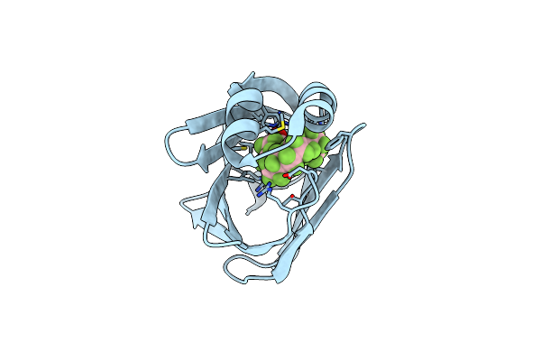 9MP2 image