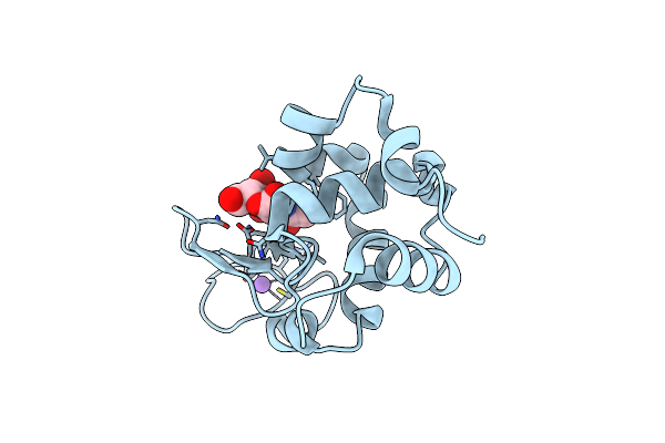 9MP6 image