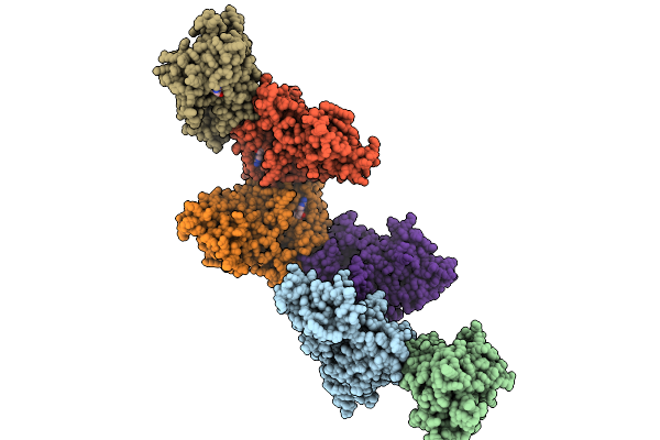 9MPO image