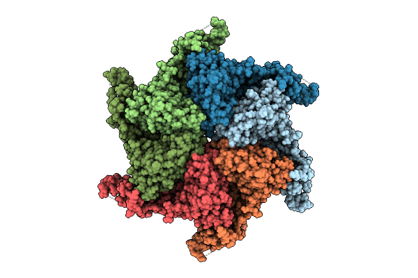 9MPR image