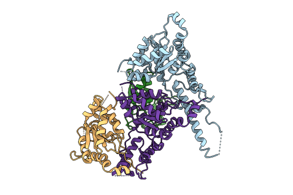 9MPS image