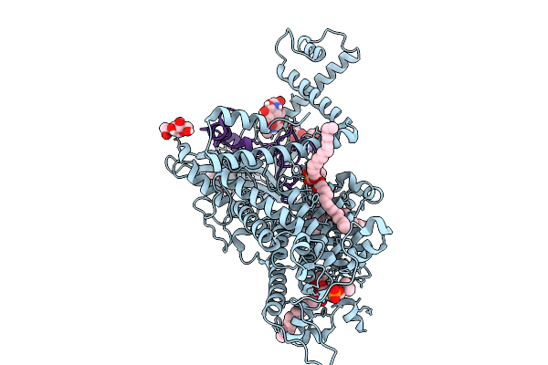 9MQB image