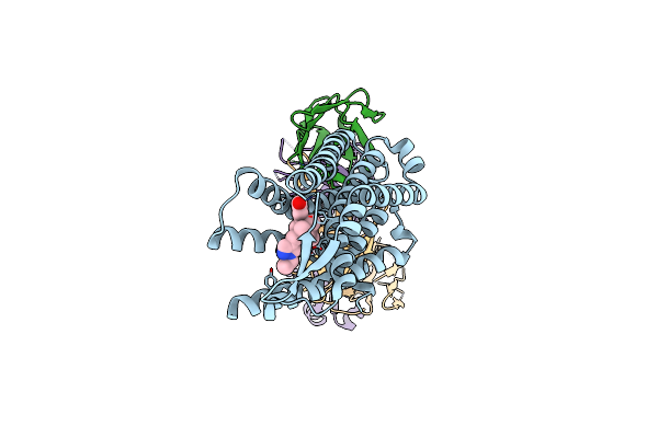 9MQI image