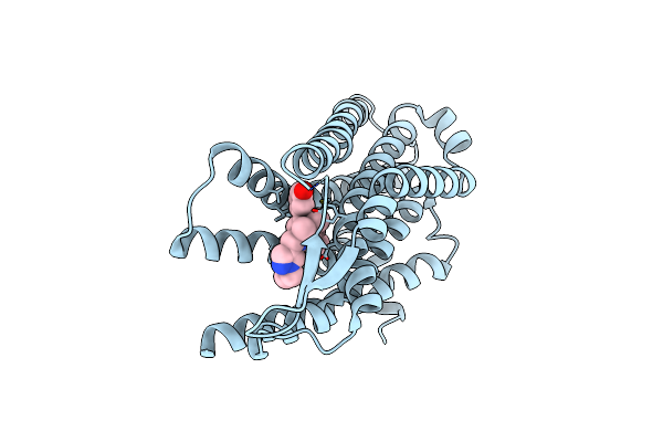 9MQJ image
