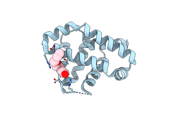 9MRB image