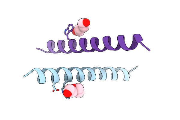 9MRF image