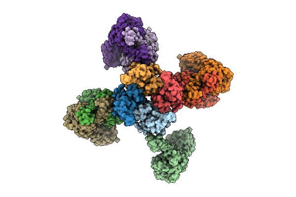 9MRX image