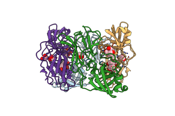 9MS5 image
