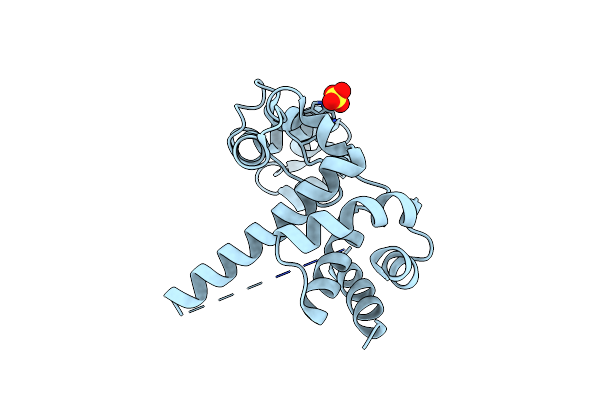 9MS6 image