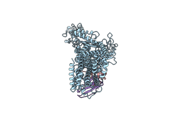 9MS8 image