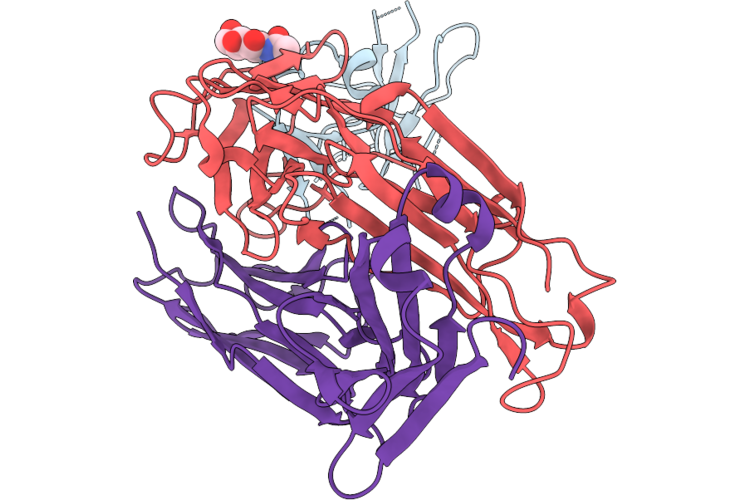 9MSK image