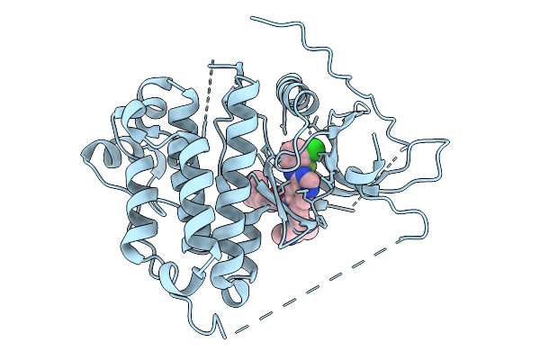 9MSR image