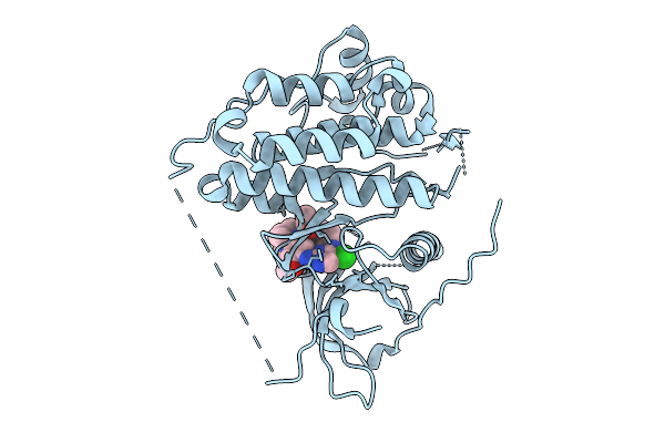 9MSS image