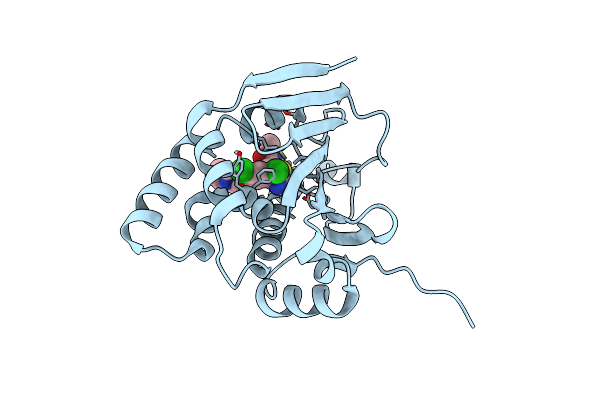 9MSV image