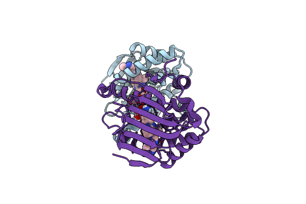 9MSX image