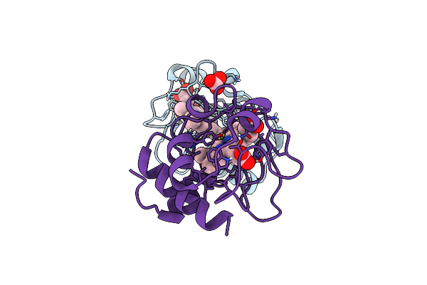 9MSZ image