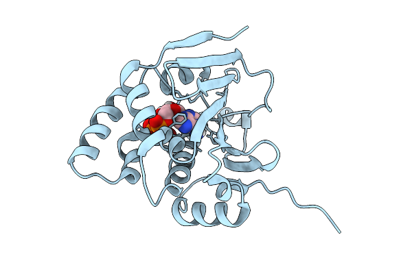 9MTB image
