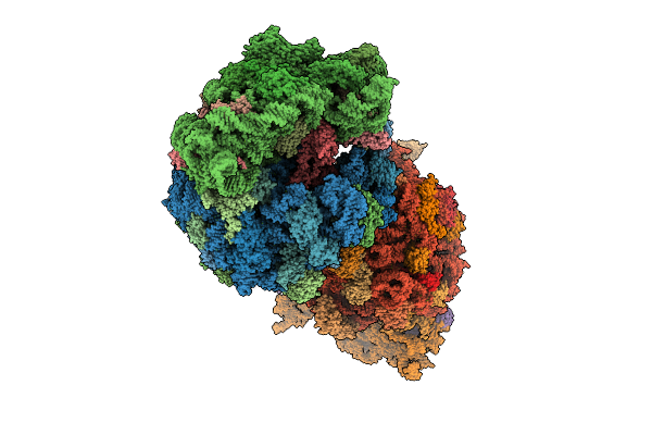 9MTT image