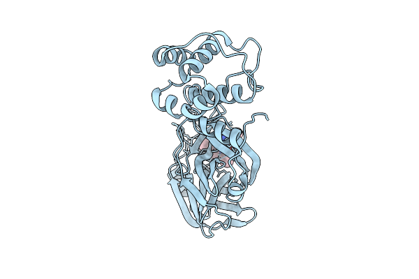 9MVO image