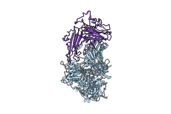 9MVV image