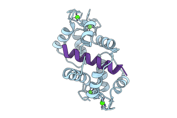 9MVW image