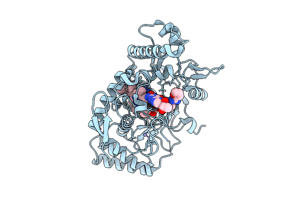 9MWJ image