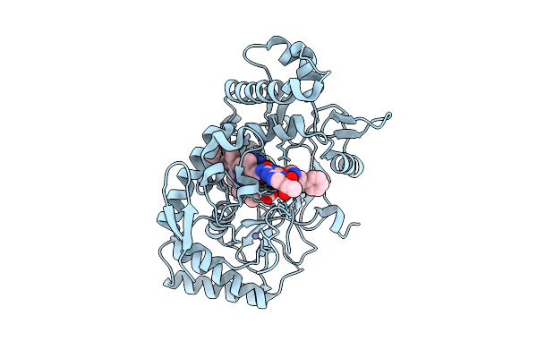 9MWK image