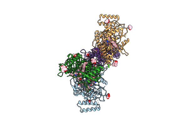 9MWV image