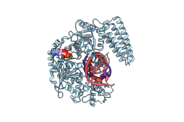 9MX3 image