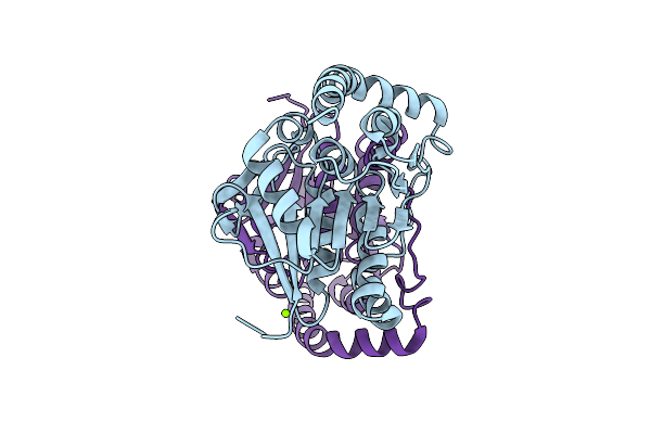 9MXP image