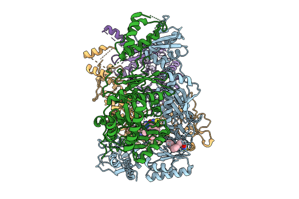 9MXT image
