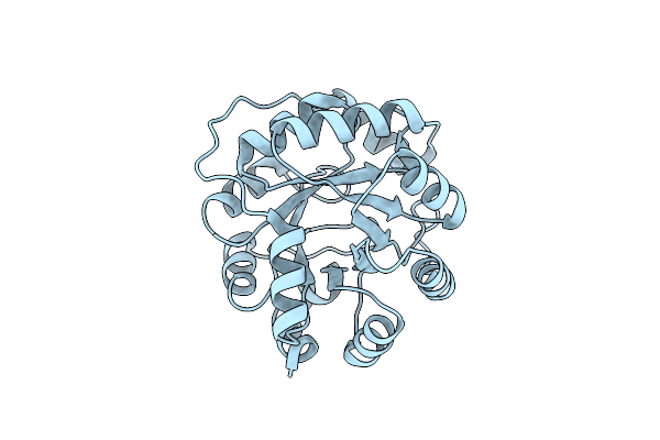 9MYA image