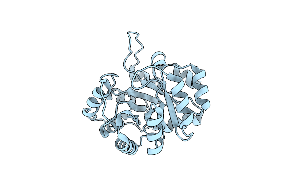 9MYB image