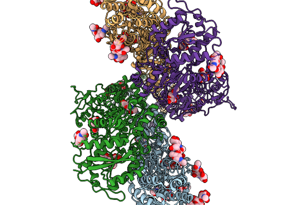 9MZI image