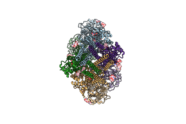 9MZS image