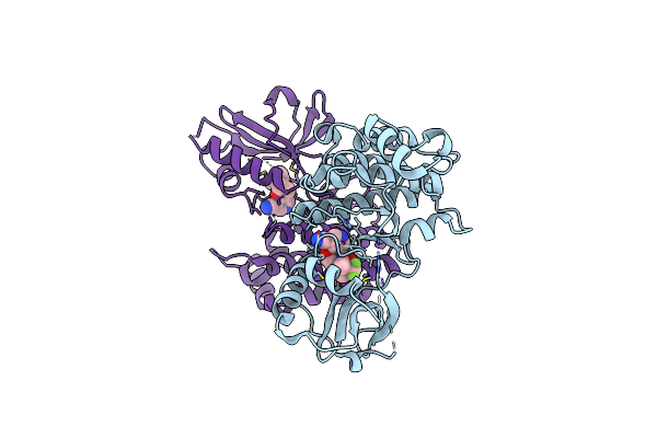 9MZZ image