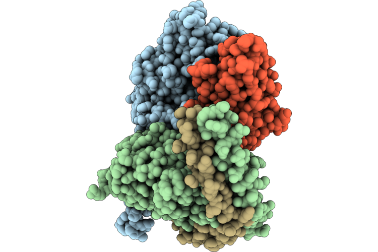 9N04 image