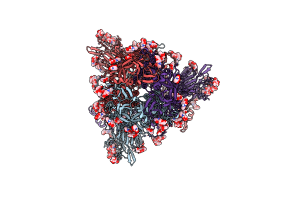 9N14 image