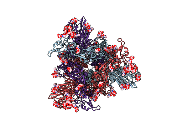 9N16 image