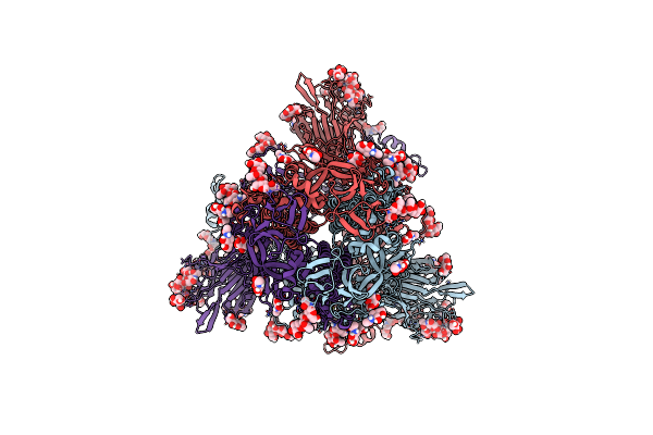 9N18 image