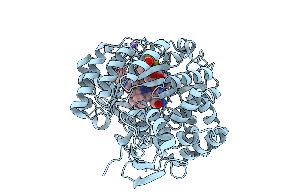 9N1D image