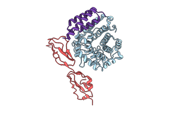 9N20 image